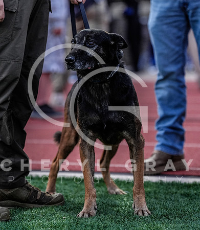 ©CGP 101725 Morristown East @ West Ridge 00951