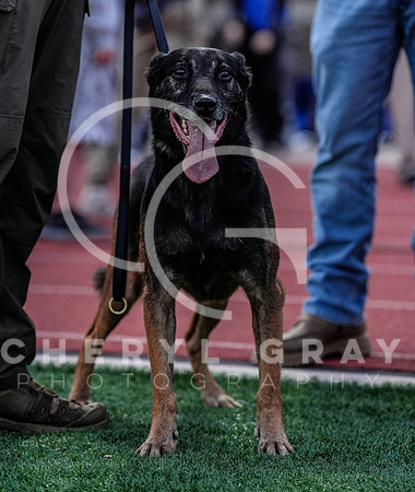 ©CGP 101725 Morristown East @ West Ridge 00958