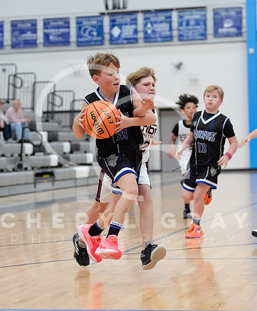 ©CGP 110825 JR Wolves 00013