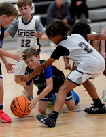 ©CGP 110825 JR Wolves 00005