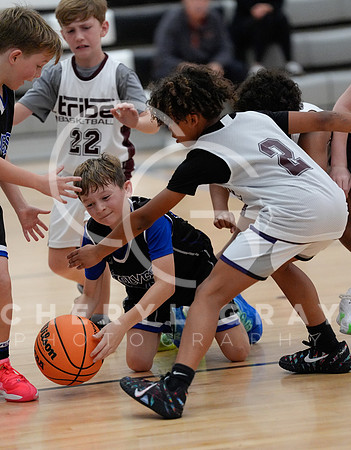 ©CGP 110825 JR Wolves 00005
