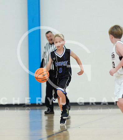 ©CGP 110825 JR Wolves 00083