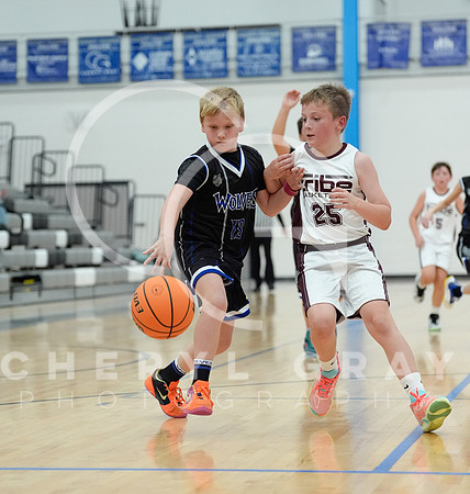 ©CGP 110825 JR Wolves 00125