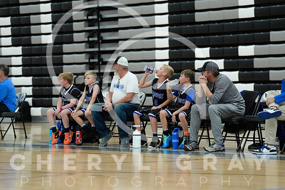 ©CGP 110825 JR Wolves 00097