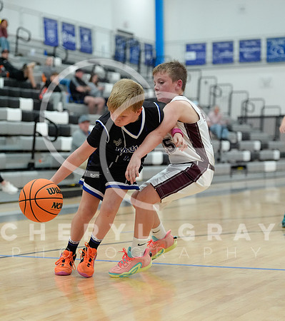 ©CGP 110825 JR Wolves 00141