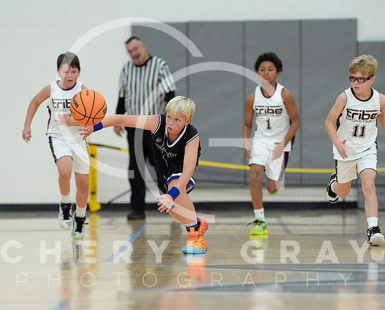 ©CGP 110825 JR Wolves 00173