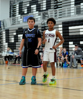 ©CGP 110825 JR Wolves 00153
