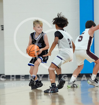 ©CGP 110825 JR Wolves 00249
