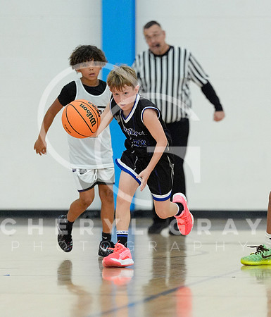 ©CGP 110825 JR Wolves 00255