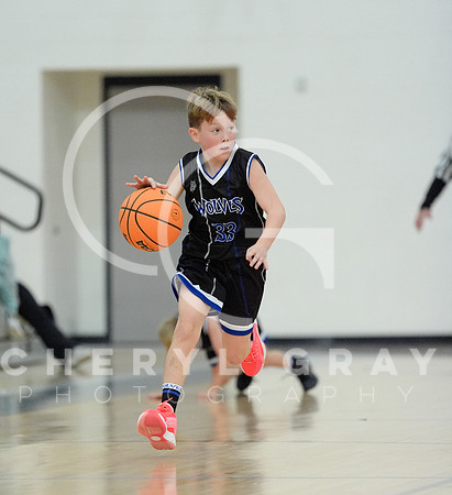 ©CGP 110825 JR Wolves 00261