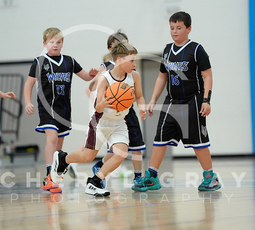 ©CGP 110825 JR Wolves 00336