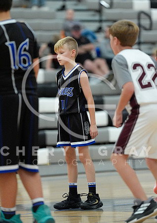 ©CGP 110825 JR Wolves 00352