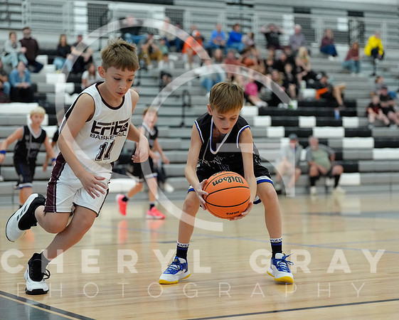 ©CGP 110825 JR Wolves 00357