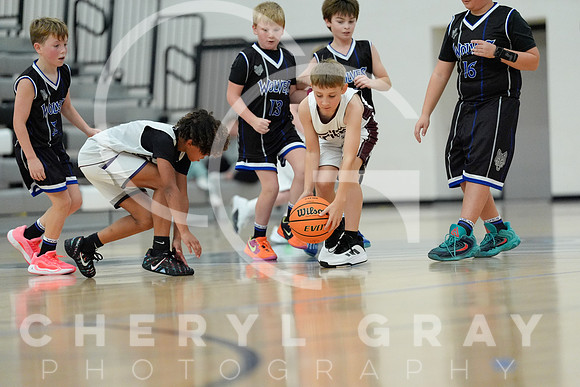 ©CGP 110825 JR Wolves 00331
