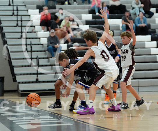 ©CGP 110825 JR Wolves 00368