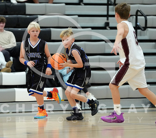 ©CGP 110825 JR Wolves 00386