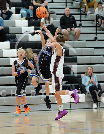 ©CGP 110825 JR Wolves 00387