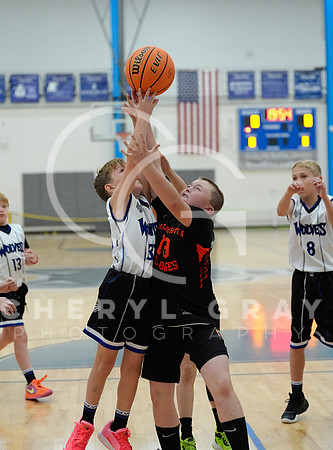 ©CGP 110825 JR Wolves 00444