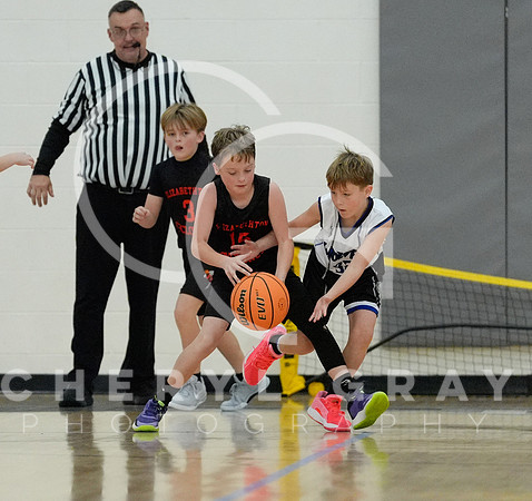 ©CGP 110825 JR Wolves 00469