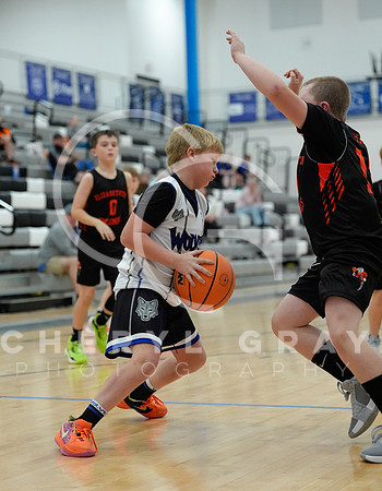 ©CGP 110825 JR Wolves 00492