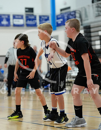 ©CGP 110825 JR Wolves 00508
