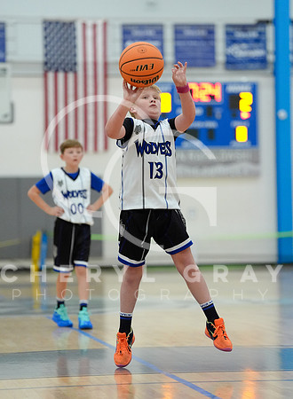 ©CGP 110825 JR Wolves 00504