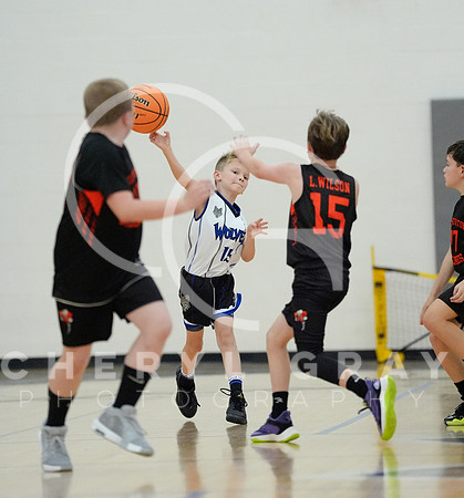 ©CGP 110825 JR Wolves 00518