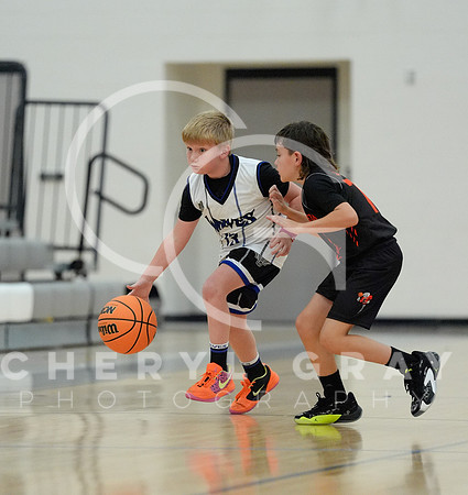 ©CGP 110825 JR Wolves 00557