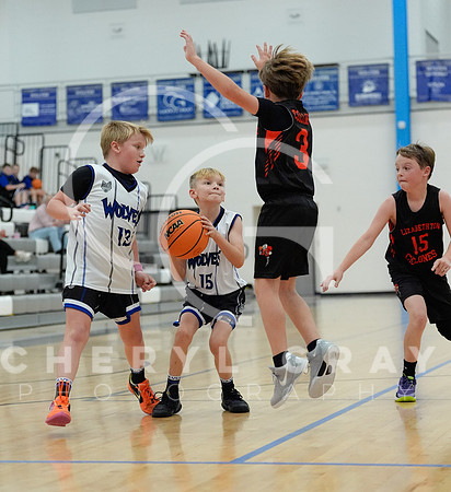 ©CGP 110825 JR Wolves 00569