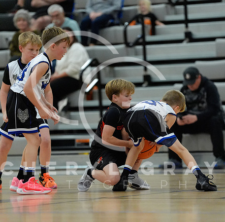 ©CGP 110825 JR Wolves 00628
