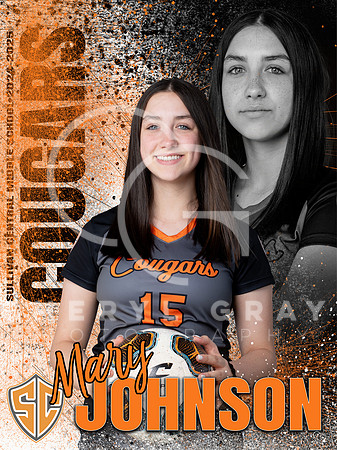 MARY JOHNSON copy