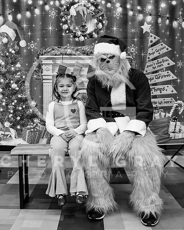 ©CGP XMAS 00555_BW_