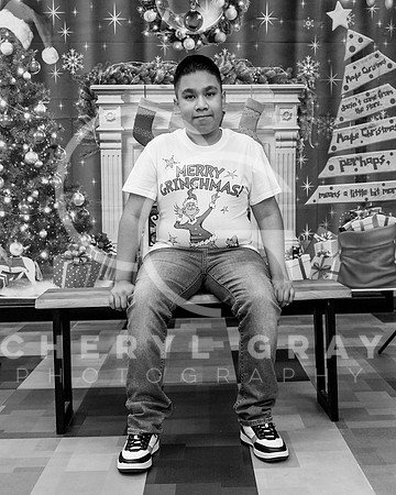 ©CGP XMAS 01064_BW_