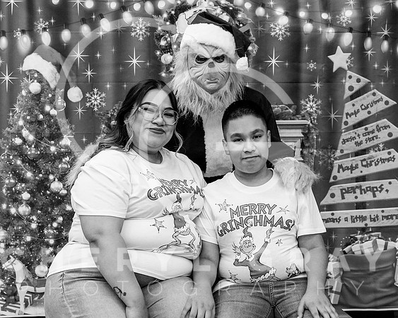 ©CGP XMAS 01110_BW_