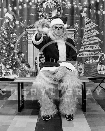 ©CGP XMAS 01573_BW_
