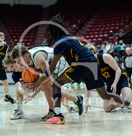 ©CGP GAME 6 Greeneville vs University High 000689