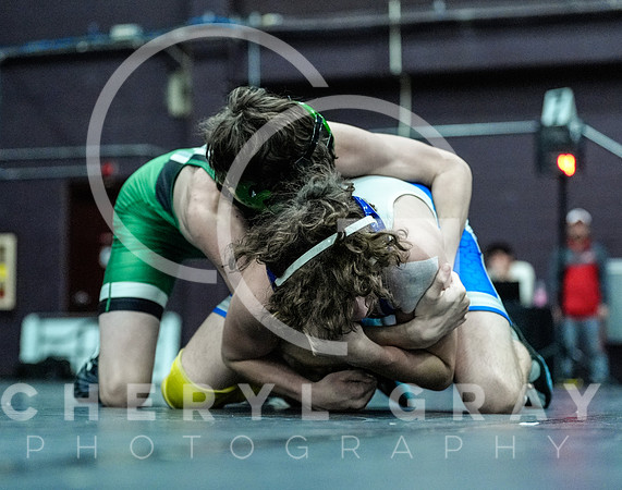 ©CGP 010226 Brawl in the Hall 01854