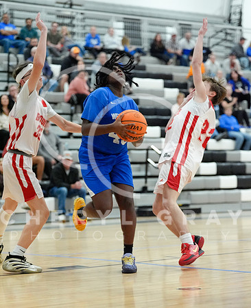 ©CGP 010726 F Unicoi Co, Daniel Boone @ West Ridge 001518