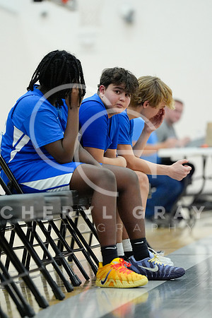©CGP 010726 F Unicoi Co, Daniel Boone @ West Ridge 001606