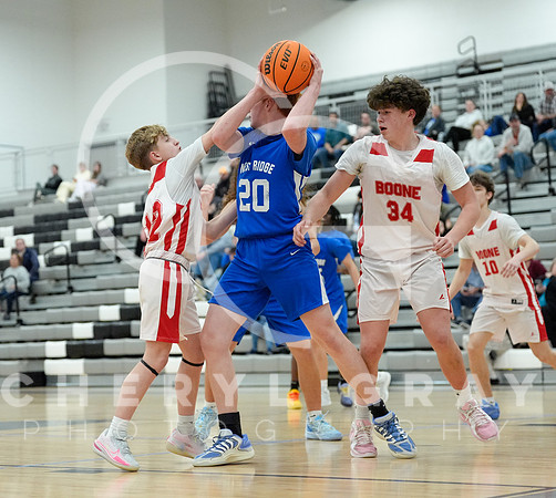 ©CGP 010726 F Unicoi Co, Daniel Boone @ West Ridge 001935