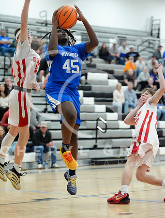©CGP 010726 F Unicoi Co, Daniel Boone @ West Ridge 001520