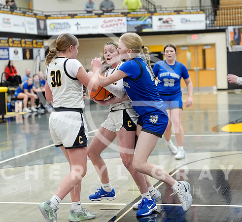 ©CGP 011026 West Ridge @ David Crockett 001252