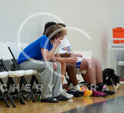 ©CGP 011526 F Dobyns Bennett @ West Ridge 00003