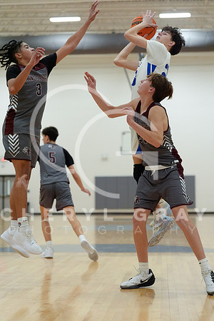 ©CGP 011526 F Dobyns Bennett @ West Ridge 00081