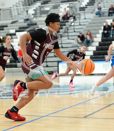 ©CGP 011626 Dobyns Bennett @ West Ridge 000175