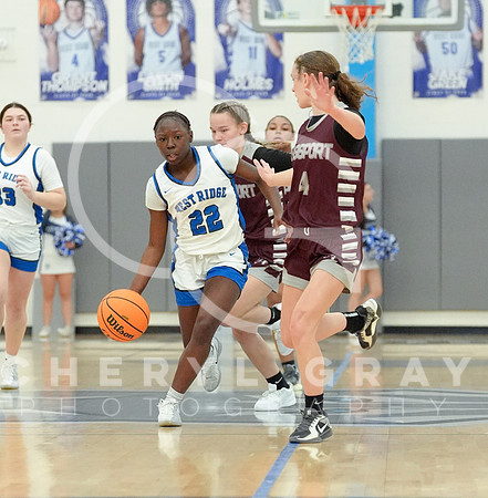 ©CGP 011626 Dobyns Bennett @ West Ridge 000329