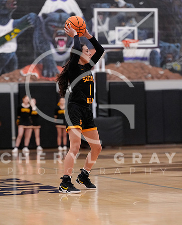 ©CGP 030226 REG @ Sevier County 000131