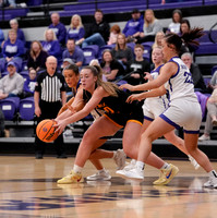 ©CGP 030226 REG @ Sevier County 000148