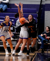 ©CGP 030226 REG @ Sevier County 000205