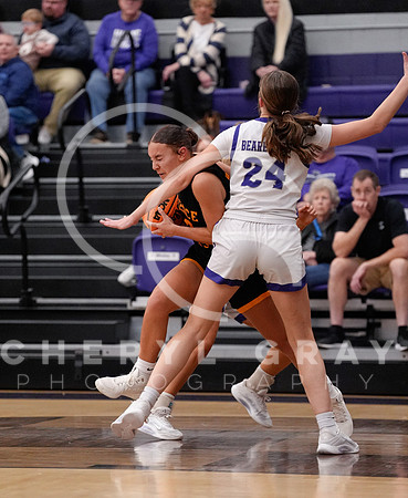 ©CGP 030226 REG @ Sevier County 000272